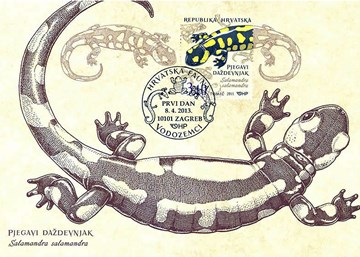 HRVATSKA FAUNA - VODOZEMCI, Pjegavi daždevnjak 
